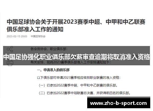 中国足协强化职业俱乐部欠薪审查逾期将取消准入资格 中国足协强化职业俱乐部欠薪审查逾期将取消准入资格